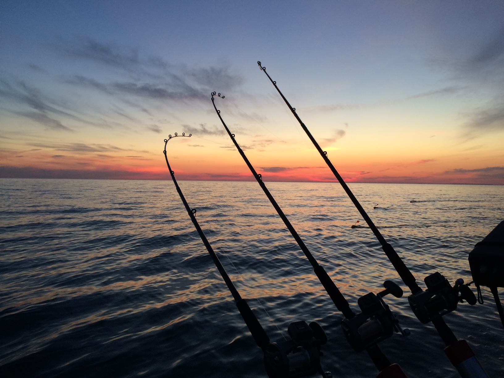 Hook'n Eyes Sportfishing Walleye Fishing on Lake Erie NY Walleye